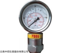云南泵用抗震压力表生产公司中控仪表