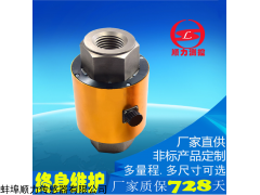 SLCK-T，BLR-1 蚌埠市顺力传感器有限公司拉压力筒式