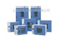 安徽DHG-9240A电热恒温鼓风干燥箱厂家
