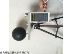 LY-09黑球湿球温度指数仪 青岛精诚仪器仪表