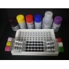 大鼠髓系细胞触发受体-1(TREM-1)ELISA试剂盒