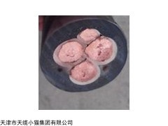 【天津小猫电缆】mcp矿用采煤机电缆产品