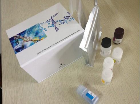 小鼠超敏C反应蛋白(hs-CRP)ELISA检测试剂盒