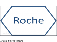 ，Roche，PCR试剂