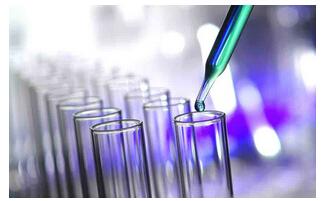 大鼠总胆汁酸(TBA)ELISA检测试剂盒_供应产品