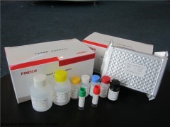 羊小反刍兽疫病毒抗体检测试剂盒
