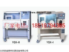 YQX-II型厌氧培养箱北京凯迪莱特厂家专业大量生产
