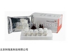 人胰岛素原(前胰岛素)ELISA检测试剂盒价格多