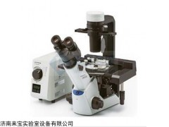 奥林巴斯倒置显微镜CKX53，倒置显微镜，生物倒微镜