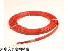 天康伴热电缆，DBW-25-220-B低温防爆电热带价格