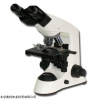 内蒙B302双目生物显微镜