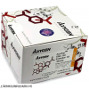 大鼠活化素A(ACV-A)elisa试剂盒