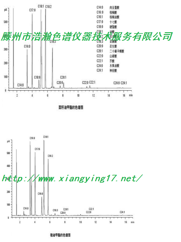 gc-790 菜籽油制备生物柴油气相色谱仪