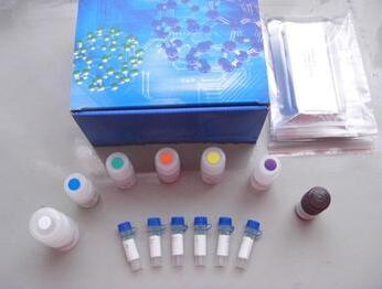 人丙酮酸激酶M2型同工酶(M2-PK)ELISA试剂盒