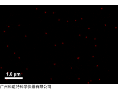 GATTA-荧光小球/超高分辨率STED显微镜测试工具