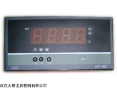 XST-262数显温控仪电加热系统