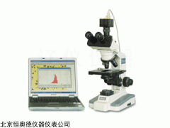 显微图像分析系统