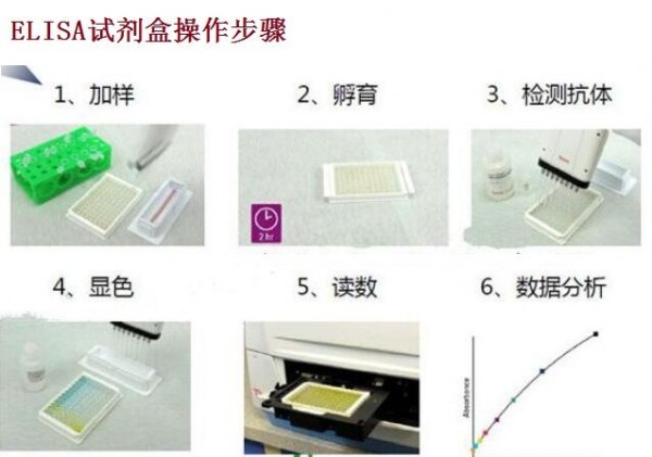 人富组蛋白(histatin 5)ELISA Kit