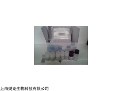 48t/96t 小鼠钙联蛋白(CNX)ELISA定量检测试剂盒
