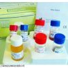 丙型肝炎病毒基因分型测定试剂盒（RT-PCR）			