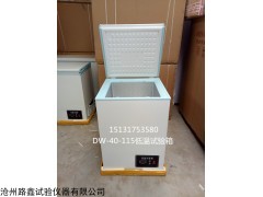 DW-40-115低温试验箱，低温箱供应商