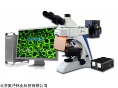 奥特光学BK-FL荧光显微镜