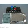 GDE00035-48t/96t 小鼠免疫球蛋白G(IgG)ELISA检测试剂盒