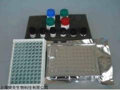 48t/96t 人EB病毒IgA(EBv IgA)ELISA试剂盒