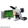 荧光显微镜BK-FL荧光显微镜