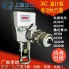 上海DKZ-310开关式电动执行器价格