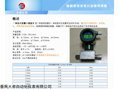 廣東微小流量流體水流量計(jì)，小口徑水流量計(jì)