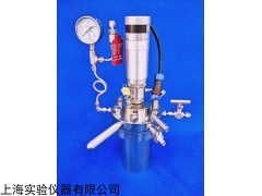 天津实验室微型高压反应釜小型反应釜