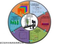 高光谱成像系统-植物表型-表型成像分析