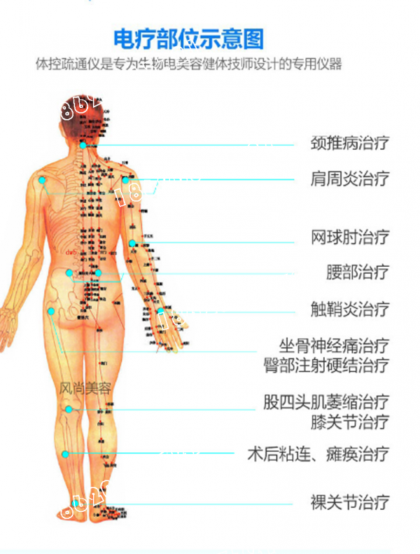 dds生物电