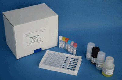 羊皮质醇(COR)ELISA检测试剂盒