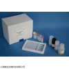 48t/96t 小鼠抗胰蛋白酶(AT)ELISA试剂盒 （大鼠，人）