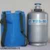 验液氮罐YDS-10L升美容冰淇淋罐液氮桶气瓶