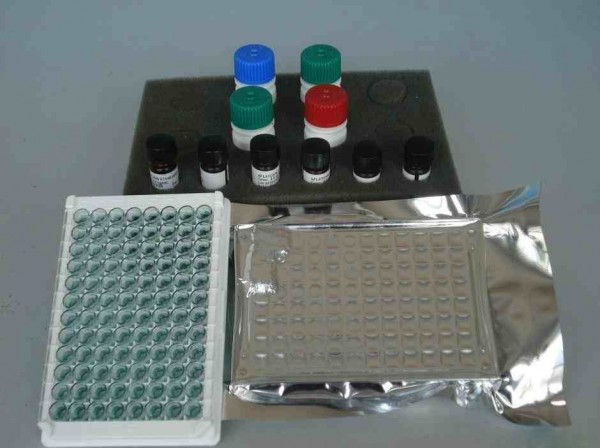 人Ⅲ型前胶原C端肽(PⅢCP)ELISA试剂盒（大鼠，小鼠）