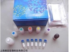 48t/96t 小鼠白介素6(IL-6)ELISA试剂盒供应商