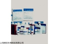48t/96t 小鼠血管活性肠肽(VIP)ELISA试剂盒