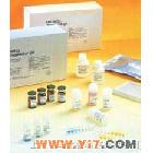 Wk10140 人白介素6(IL-6)ELISA试剂盒