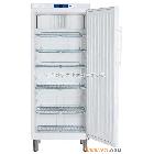 GKv5760 LIEBHERR 利勃海尔实验室标准型冰箱 大容量风冷冷藏无霜冰箱