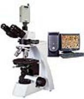 偏光显微镜(带软件)