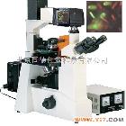 TC-XDS-500C 倒置荧光显微镜