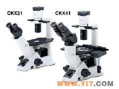 CKX41奥林巴斯倒置显微镜(上海供应专区),日本进口奥林巴斯
