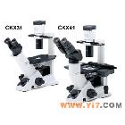 CKX31-A12PHP奥林巴斯倒置显微镜,日本进口上海供应专区