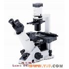 奥林巴斯倒置显微镜CKX41-A32RC
