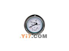 维尔特，不锈钢压力表，YBF/YBFN