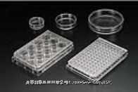 ACGS2001-EXHydCell;reg; 低亲和细胞培养皿