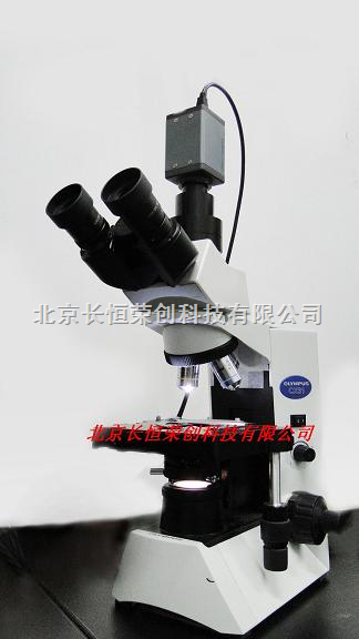 CX31济南奥林巴斯生物显微镜！山东奥林巴斯CX31生物显微镜！
